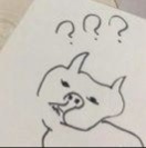 鉴定师照片